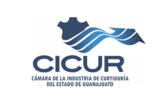 Logotipo de cicur