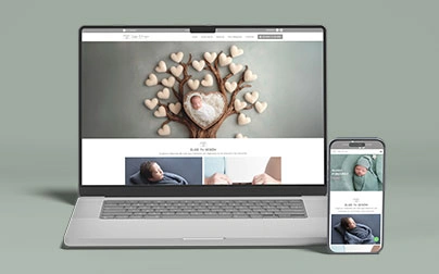 Vista del proyecto web Calzado EFE