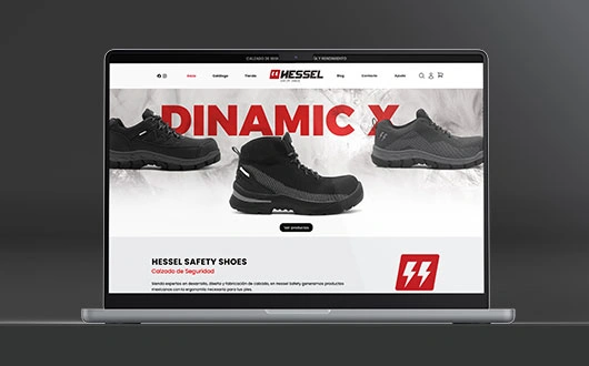 Vista del proyecto web Hessel Safety Shoes